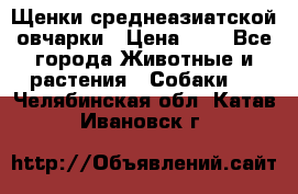 Щенки среднеазиатской овчарки › Цена ­ 1 - Все города Животные и растения » Собаки   . Челябинская обл.,Катав-Ивановск г.